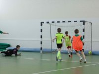 IMG_4554